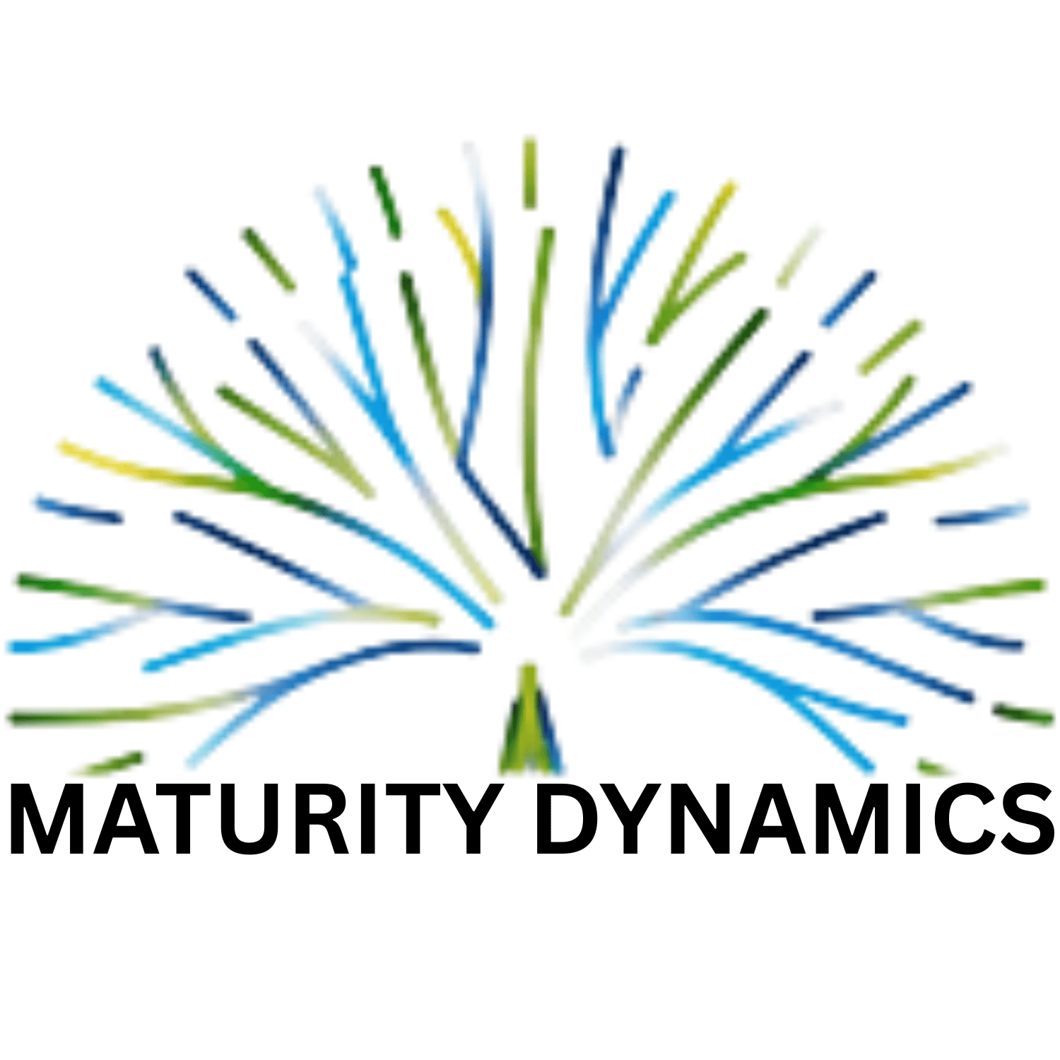 MATURITY DYNAMICS